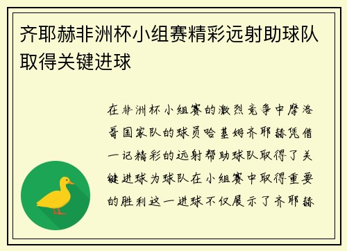 齐耶赫非洲杯小组赛精彩远射助球队取得关键进球