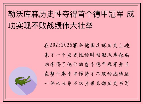 勒沃库森历史性夺得首个德甲冠军 成功实现不败战绩伟大壮举 勒沃库森历史性夺得首个德甲冠军 成功实现不败战绩伟大壮举